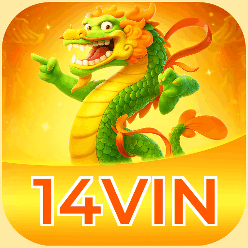 14VIN logo